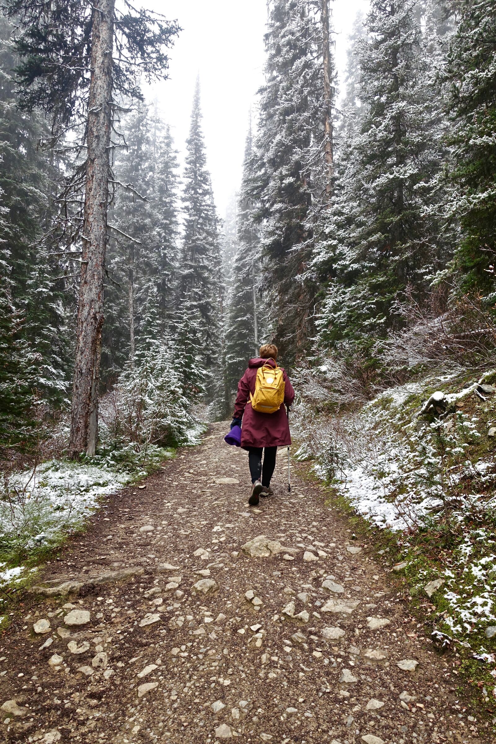 Sony Cyber-shot DSC-RX100 III sample photo. Winter, trek, adventure photography