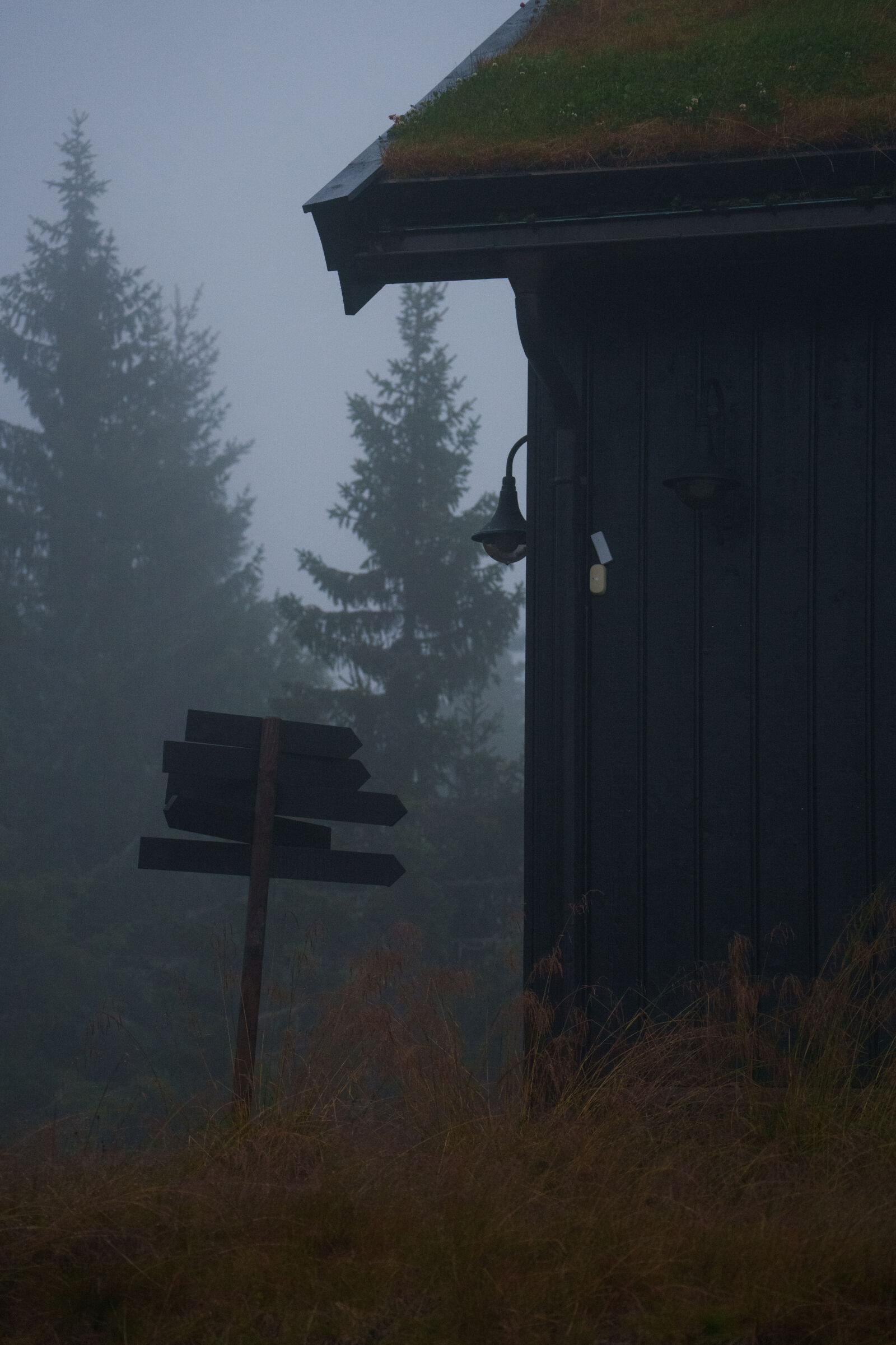 Sony a7R V sample photo. Misty morning photography