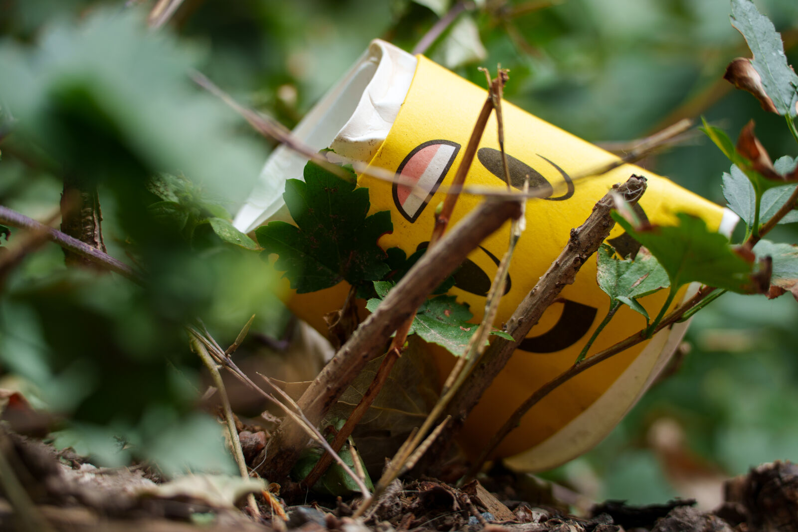 Tamron 50-300mm F4.5-6.3 Di III VC VXD sample photo. Happy litter photography