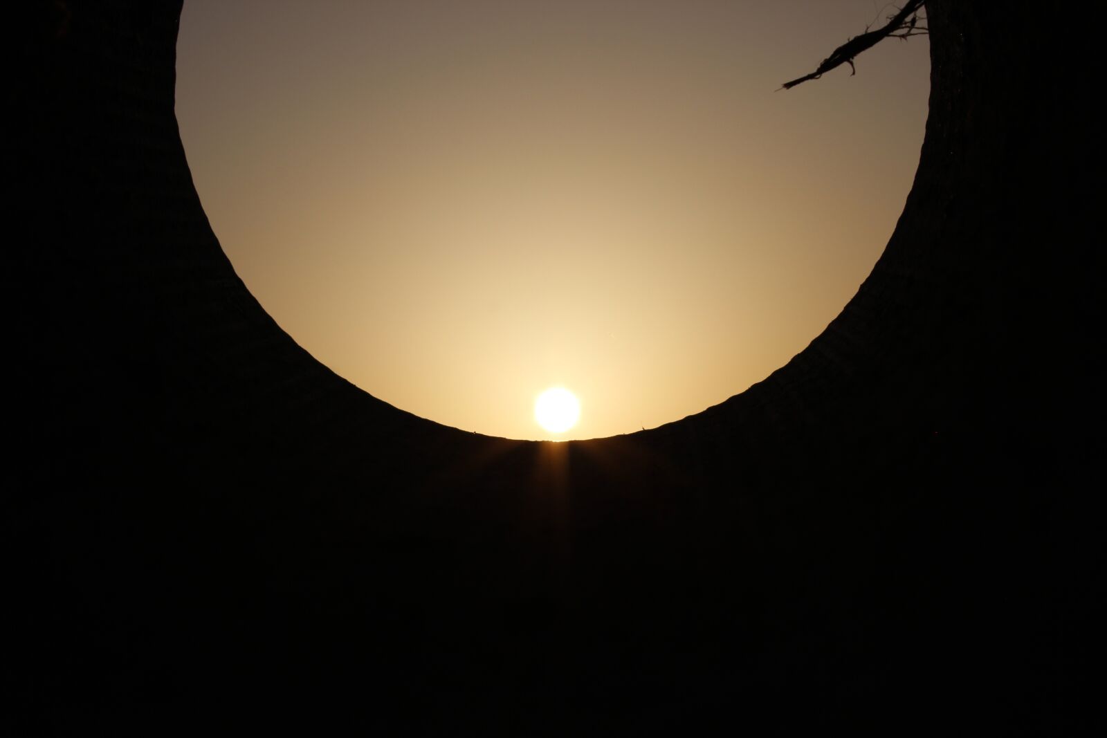 Canon EOS 600D (Rebel EOS T3i / EOS Kiss X5) sample photo. Silhouette, sunset, dawn photography