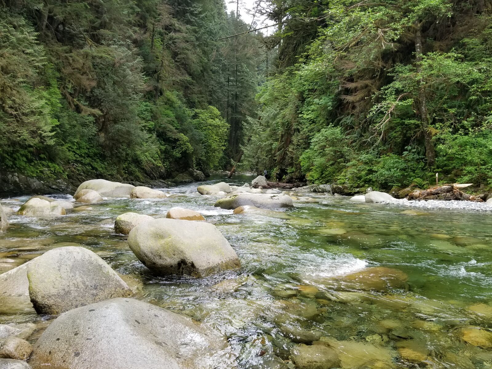 Samsung Galaxy S8+ sample photo. River, canada, horseshoe bay photography