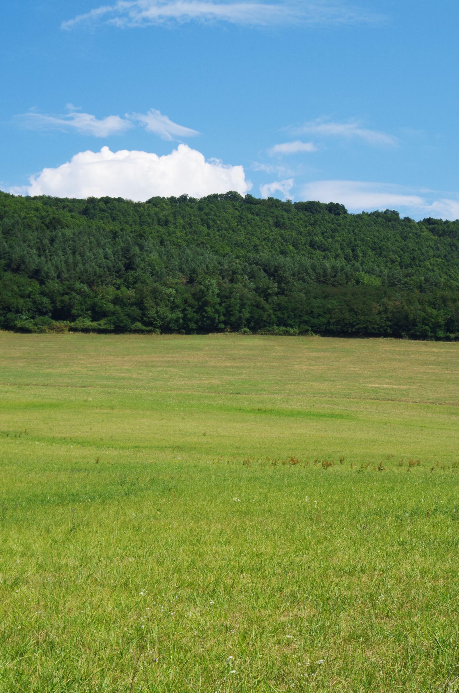 Pentax K-500 sample photo. Forest, views, country photography
