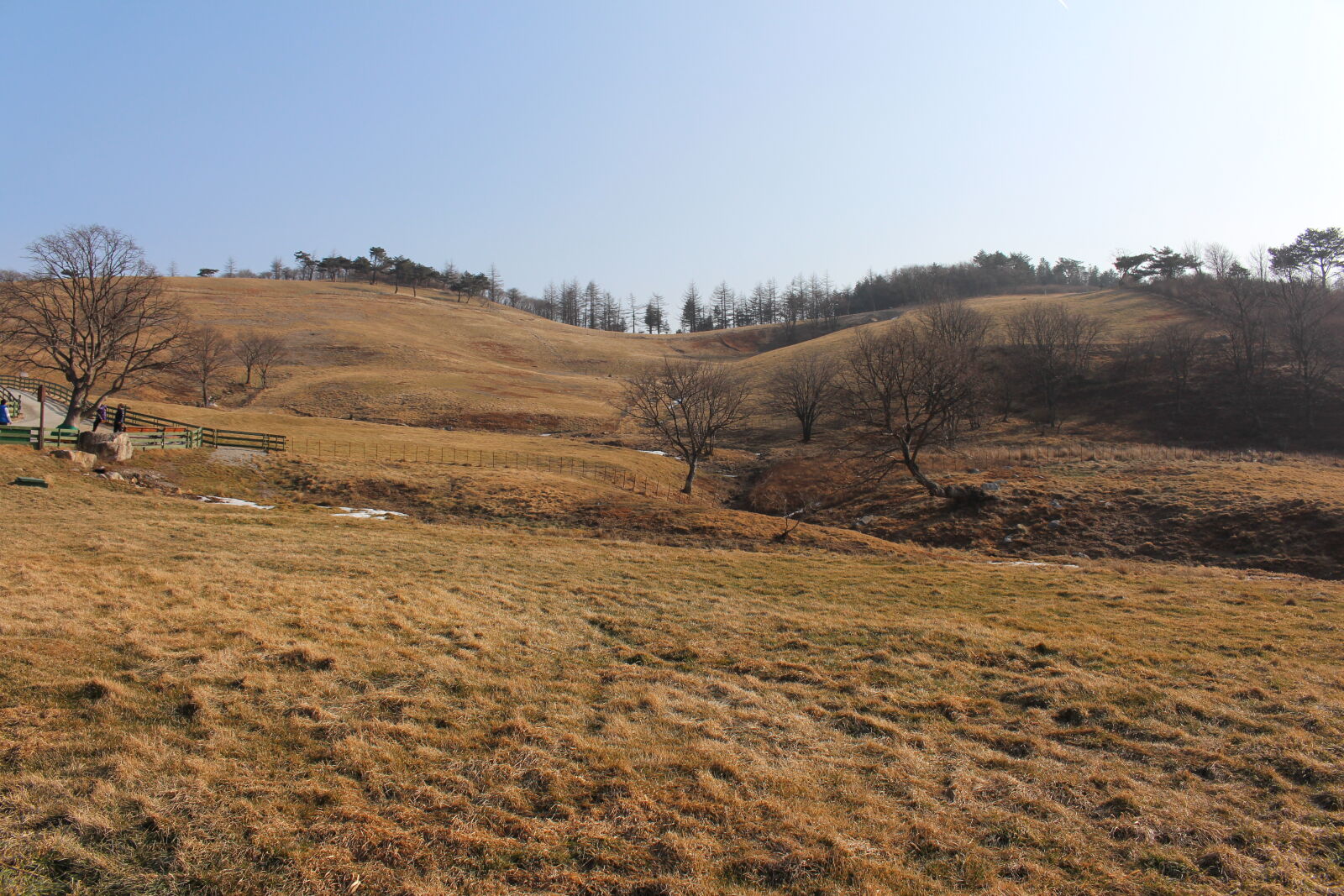 Canon EOS 700D (EOS Rebel T5i / EOS Kiss X7i) sample photo. Hill, korea, sheep, ranch photography