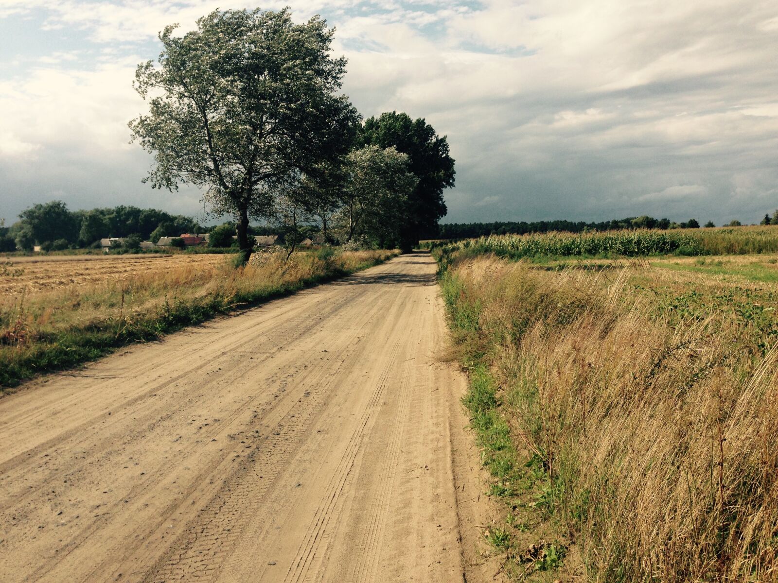 iPhone 5 back camera 4.12mm f/2.4 sample photo. Sand, dirt road, dirt photography