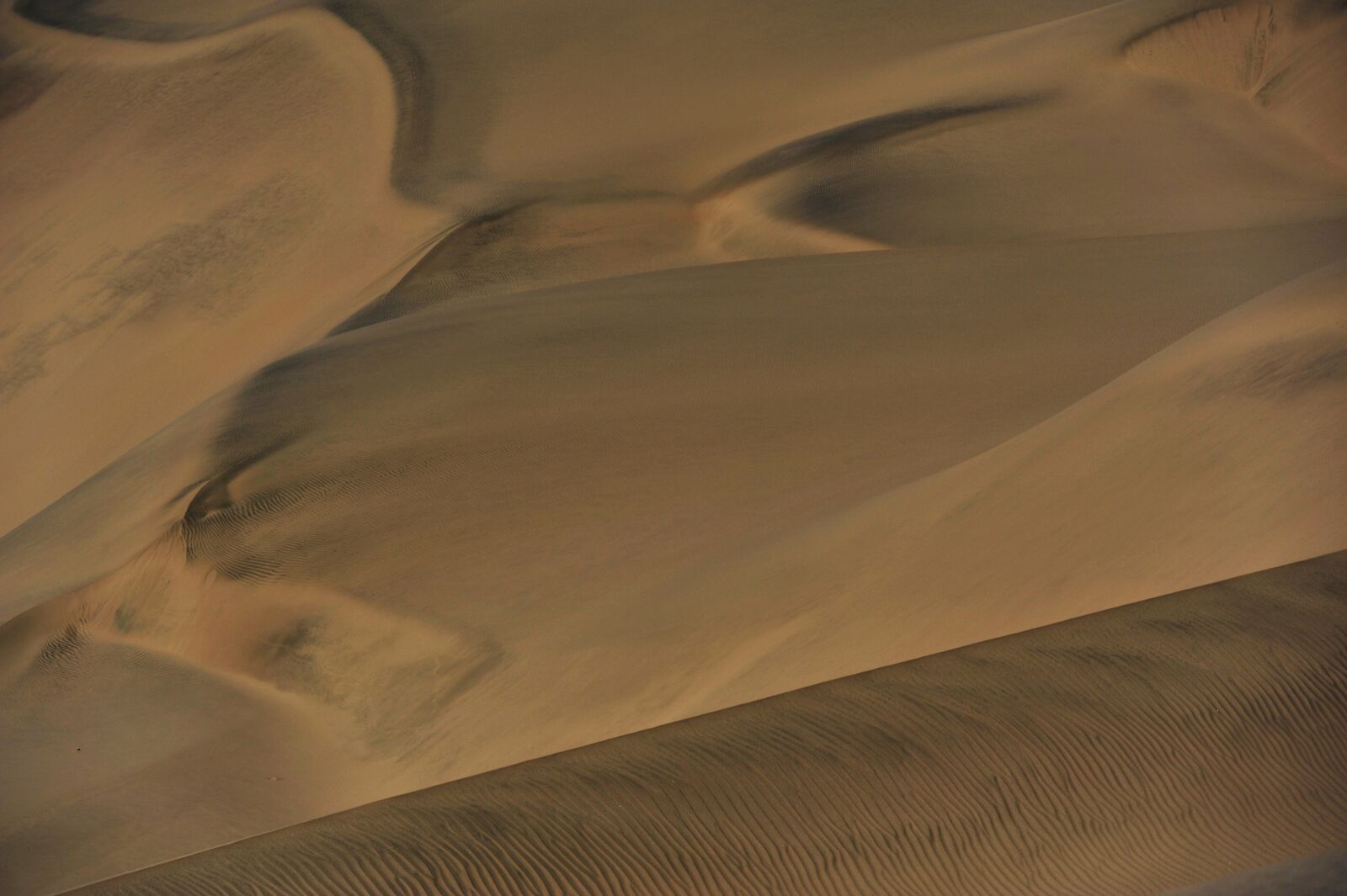 Nikon D700 sample photo. Namibia, walvis bay, dune photography