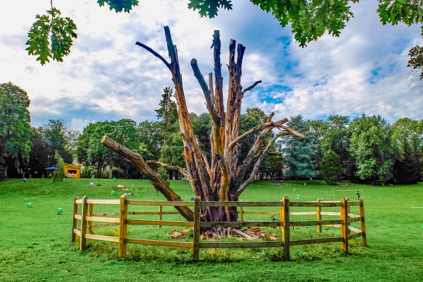 Fujifilm X30 sample photo. Tree, wood, dead photography