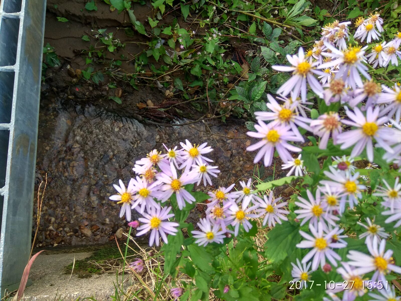 Xiaomi Redmi Note 4 sample photo