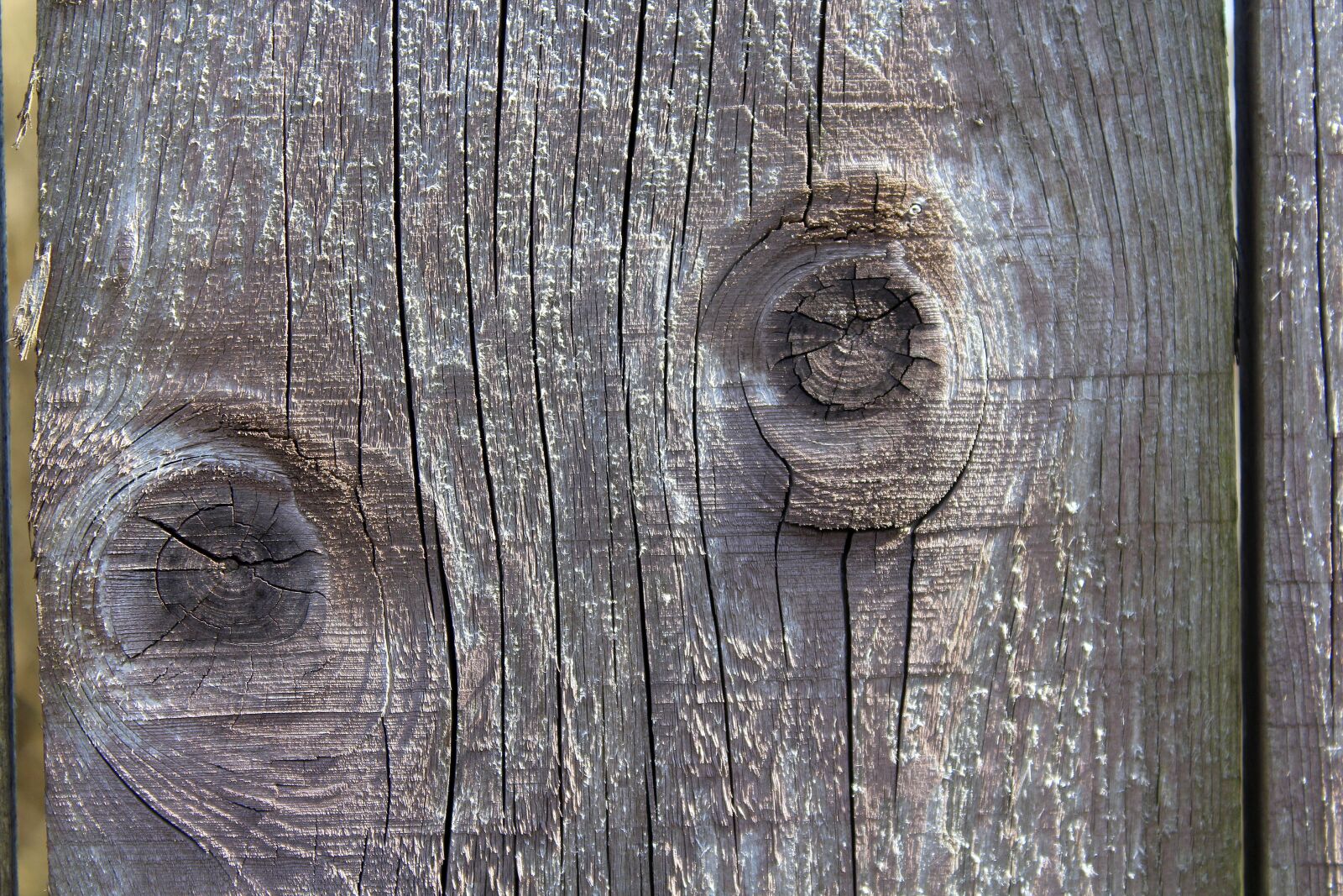 Canon EOS 1200D (EOS Rebel T5 / EOS Kiss X70 / EOS Hi) sample photo. Board, rub, wooden photography