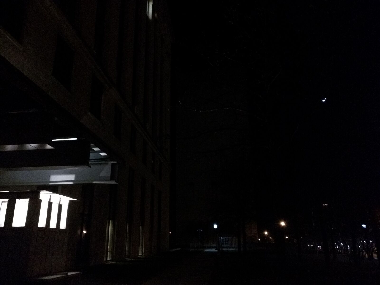 Motorola Nexus 6 sample photo