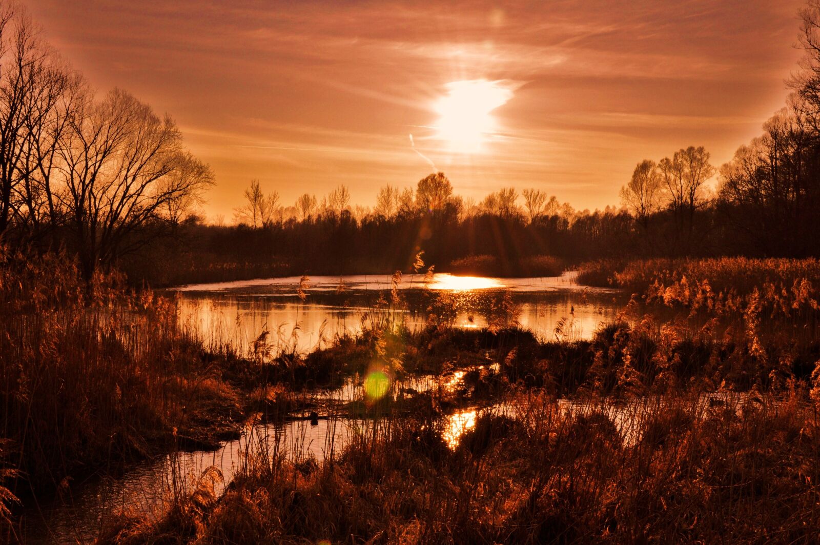 Nikon D90 sample photo. Surreal, red, sunset photography