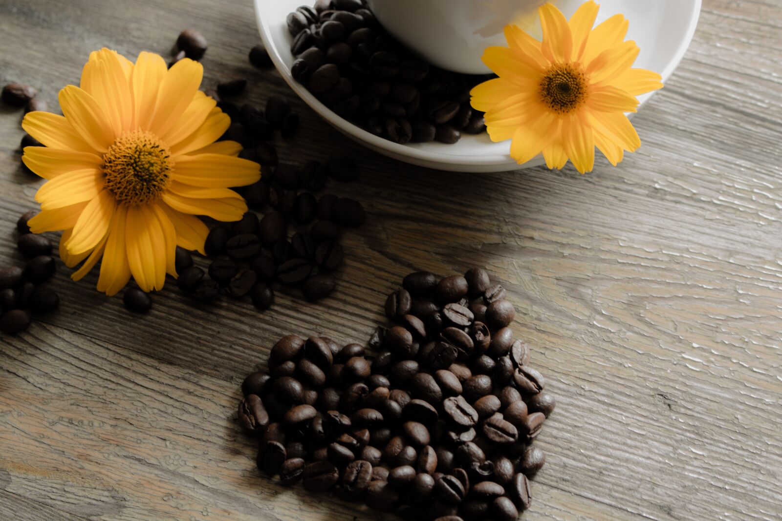 Canon EOS 700D (EOS Rebel T5i / EOS Kiss X7i) sample photo. Flower, plant, the drink photography
