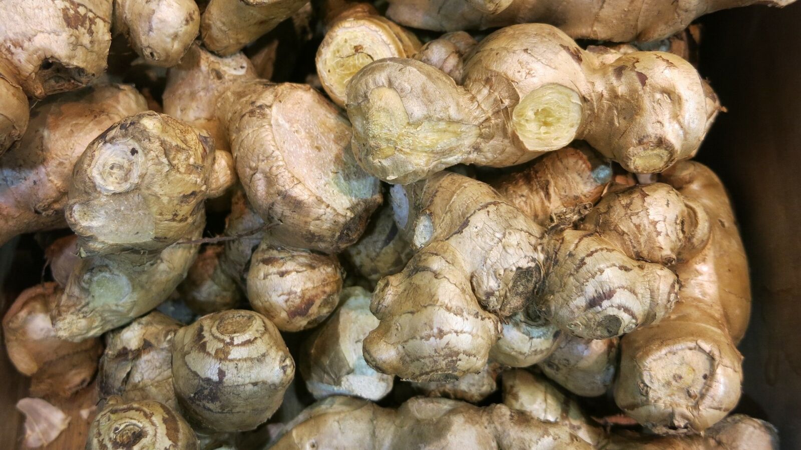 Canon PowerShot S110 sample photo. Ginger, fresh, raw photography