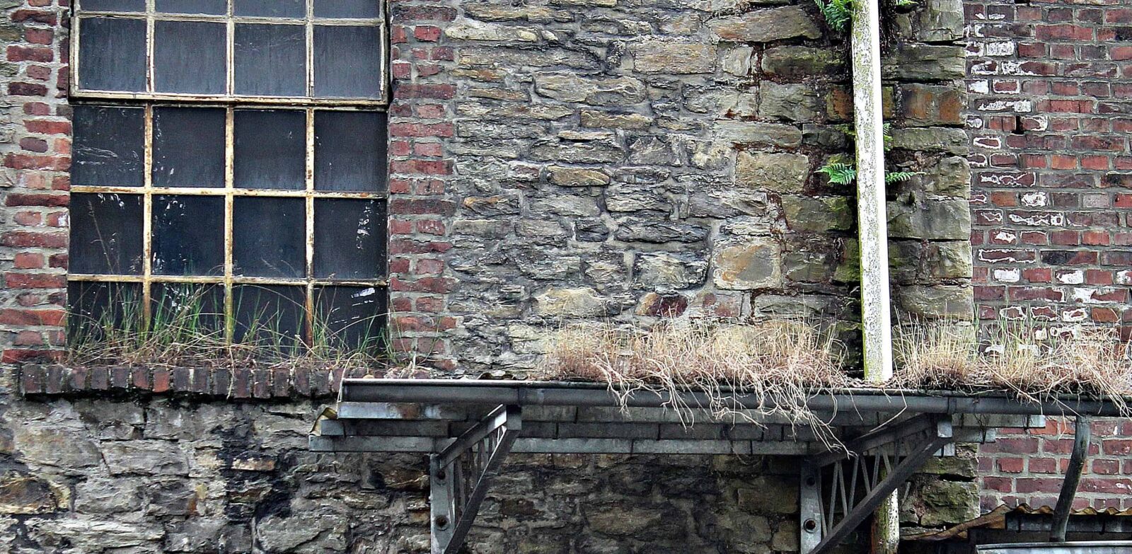 Canon EOS 550D (EOS Rebel T2i / EOS Kiss X4) sample photo. Window, architecture, house, wall photography