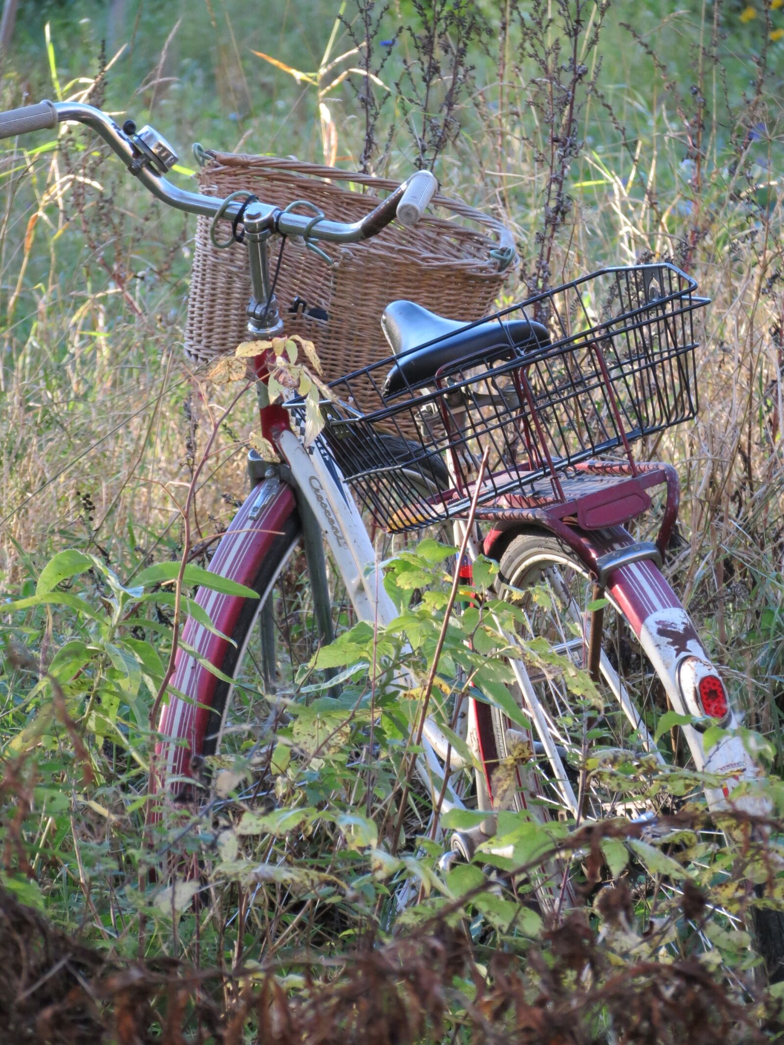 Canon PowerShot SX40 HS sample photo. Bicycle, autumn, plants photography
