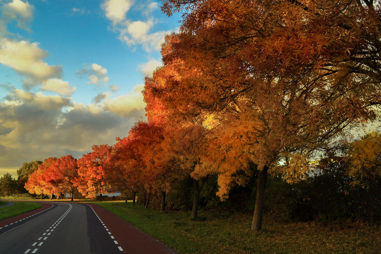 Sony DT 18-55mm F3.5-5.6 SAM II sample photo. Street, trees, autumn photography