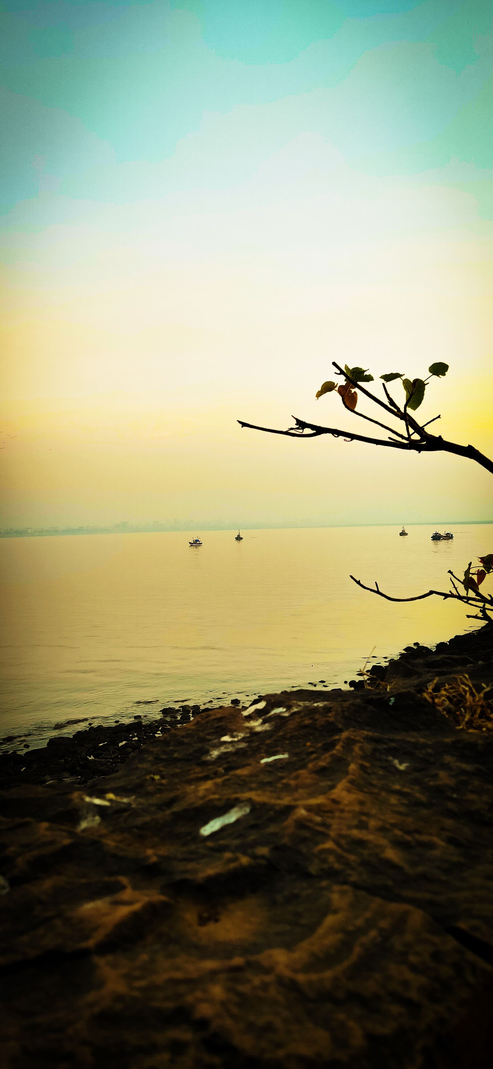 Realme 3 PRO sample photo. India, madh fort, beach photography