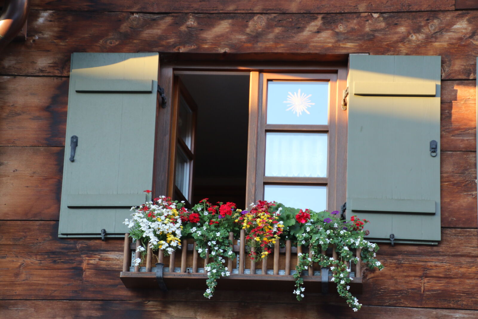 Canon EOS 7D Mark II sample photo. Flowers, garden, green, home photography