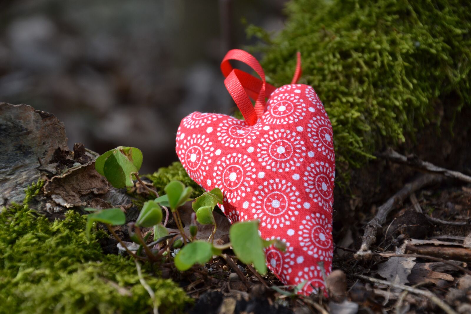 Nikon D3100 sample photo. Heart, love, romantic photography