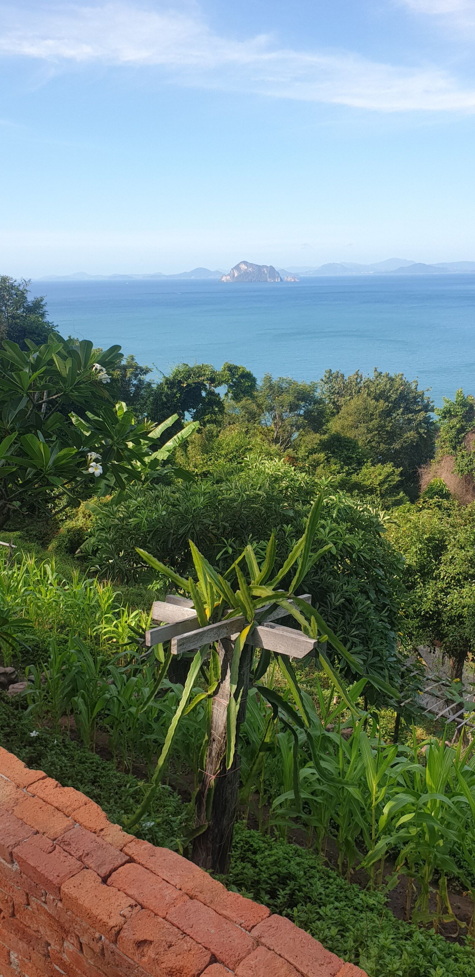 Samsung Galaxy S9 sample photo. Thailand, best, hollyday photography