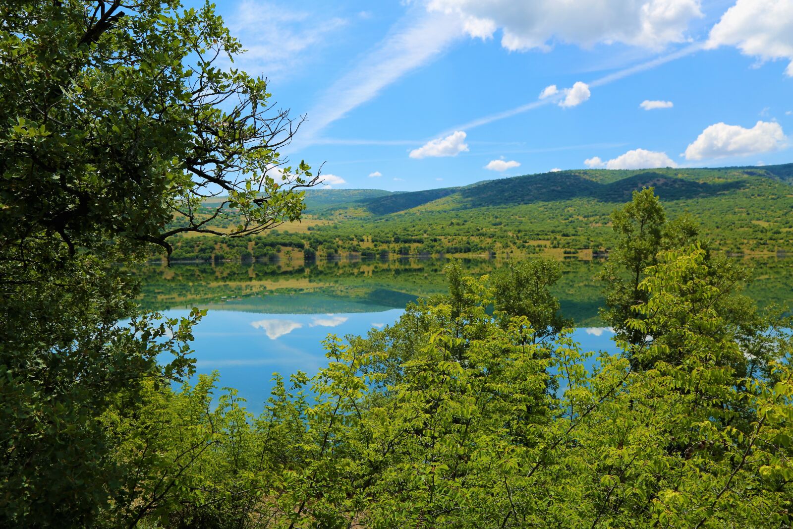 Canon EF 24-105mm F4L IS USM sample photo. Lake, water, forest photography
