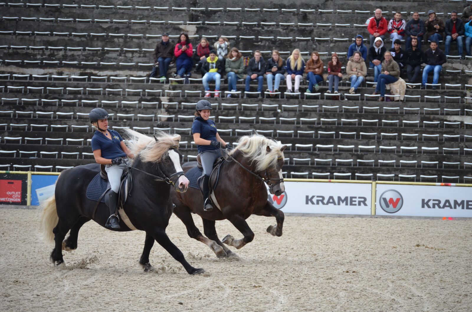 Nikon D5100 sample photo. Gallop, stallion, mane photography
