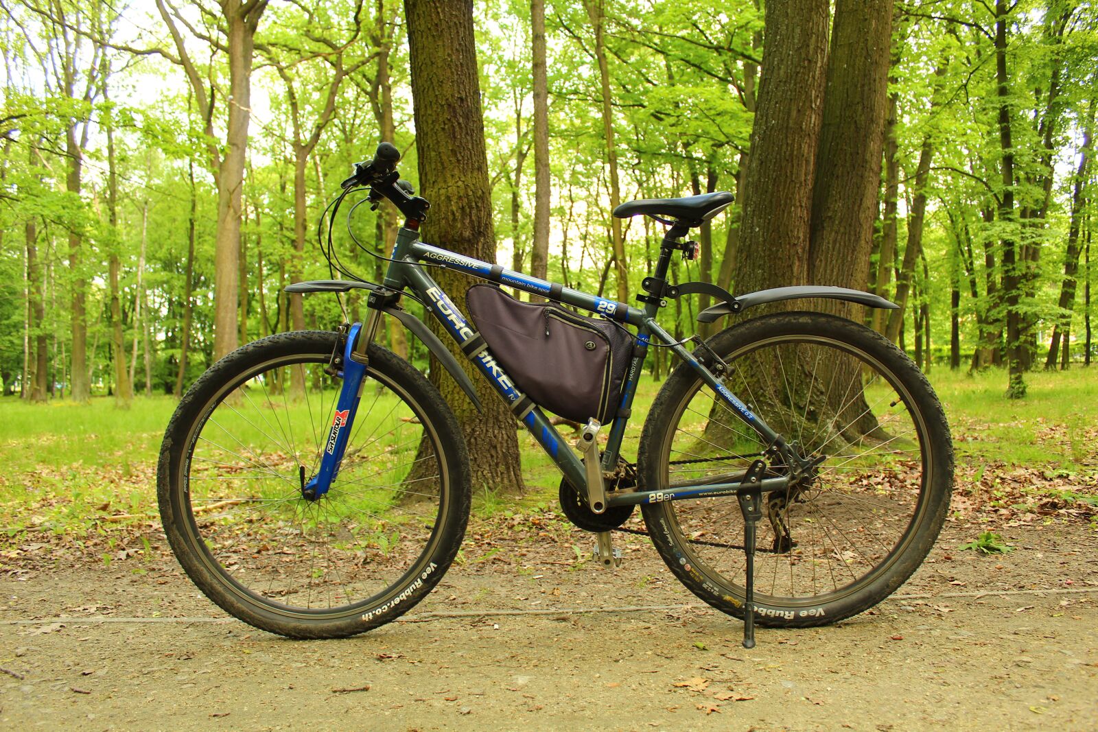 Canon EOS 4000D (EOS Rebel T100 / EOS 3000D) sample photo. Bike, the vehicle, park photography