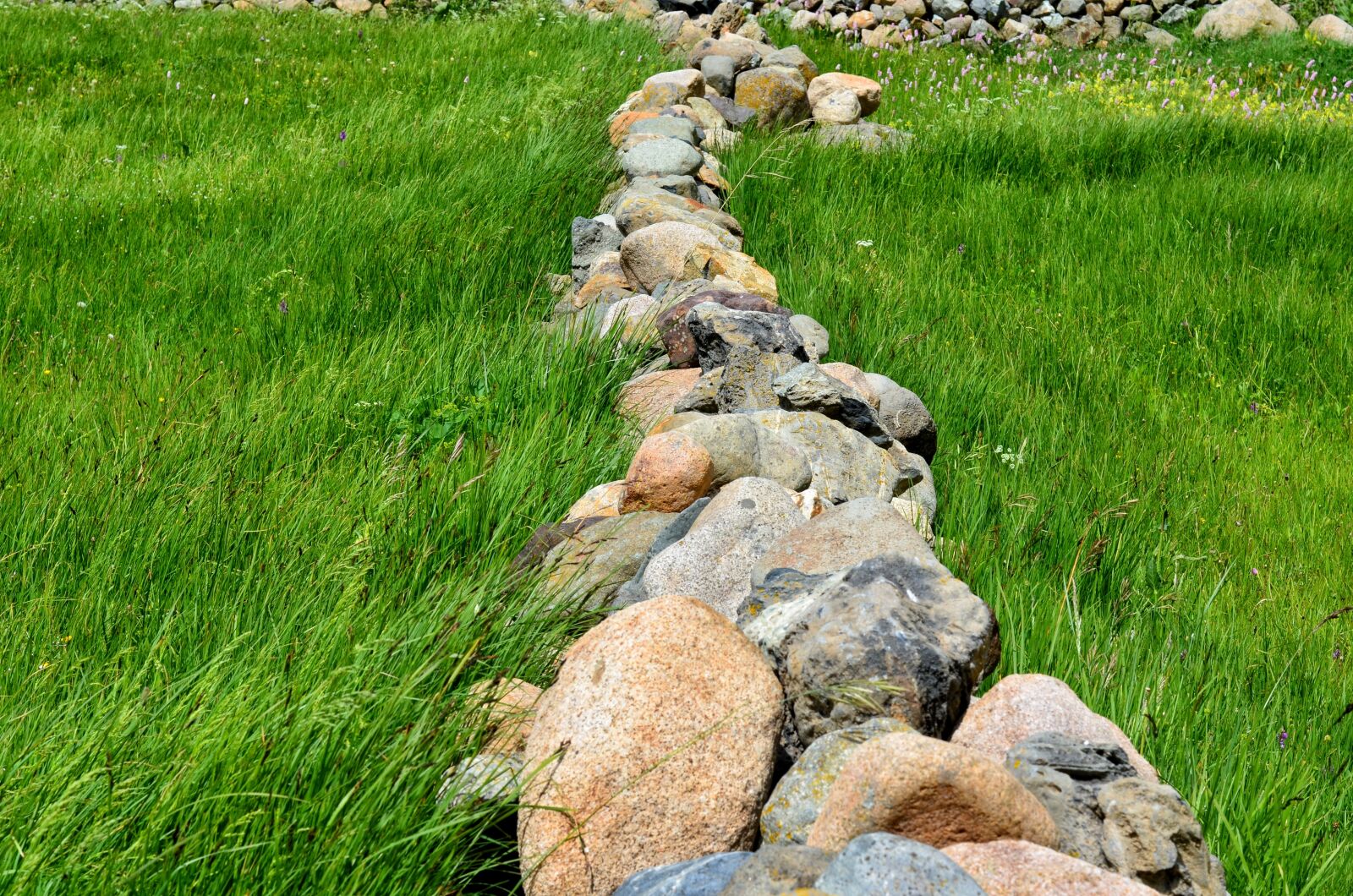 Nikon D5100 sample photo. Eastern black sea, plateaus photography