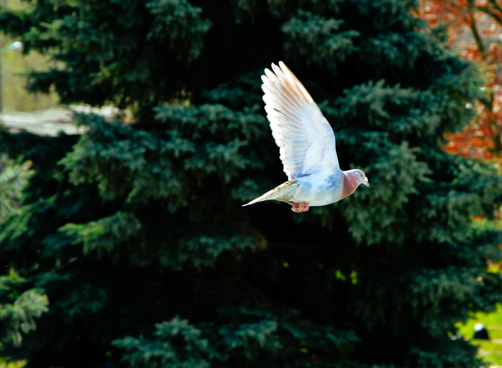 Nikon D3200 sample photo