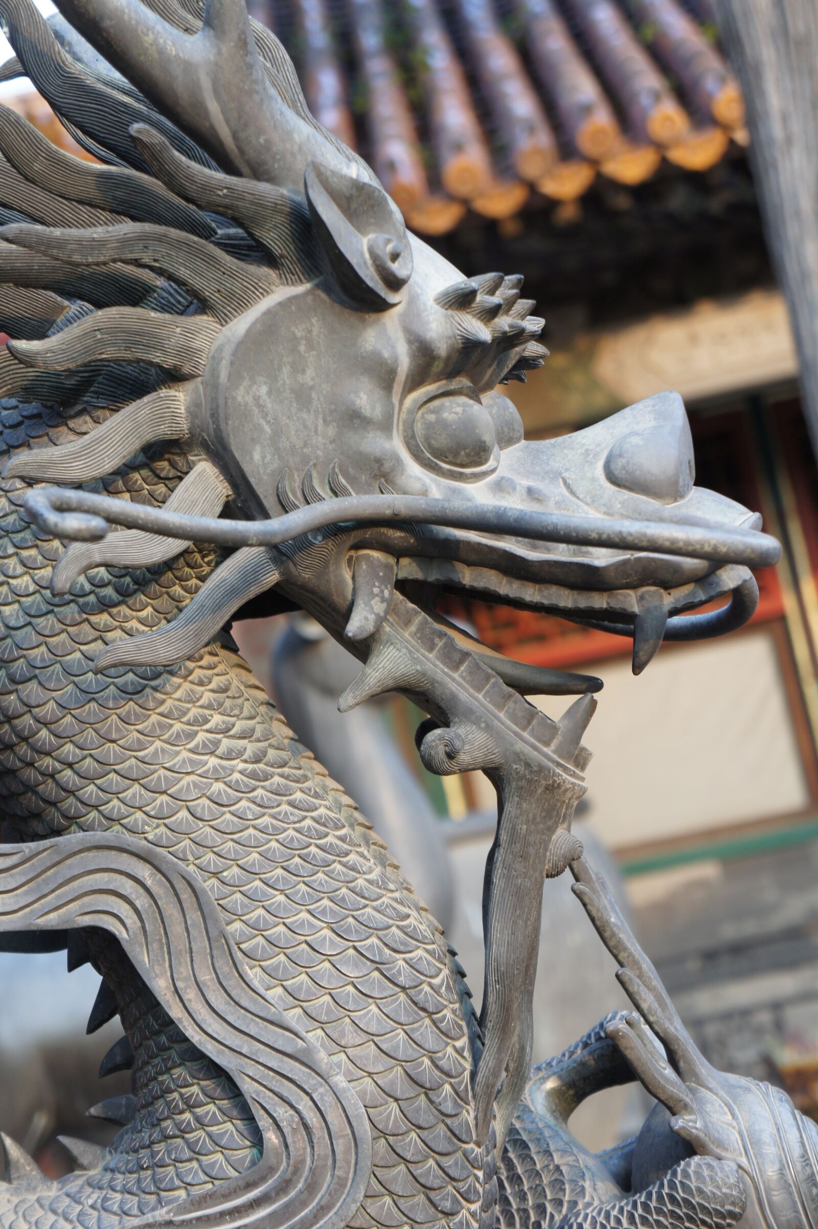 Sony Alpha NEX-5 + Sony E 18-55mm F3.5-5.6 OSS sample photo. China, dragon, oriental photography