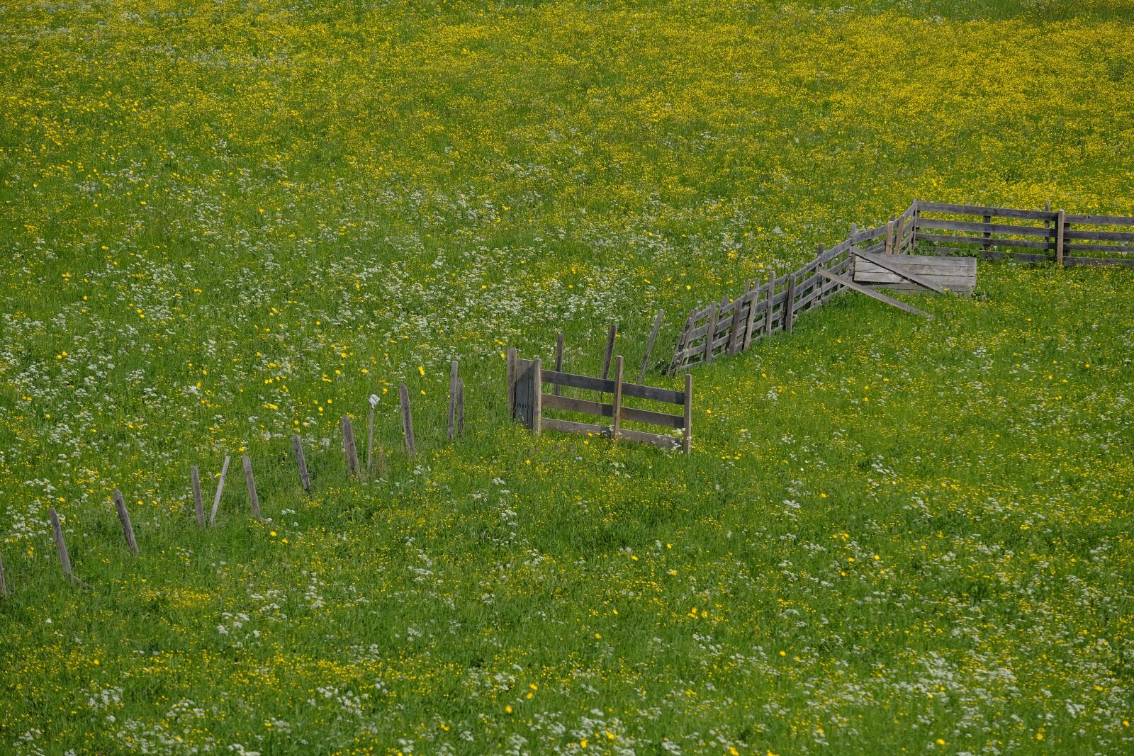 Fujifilm XF 55-200mm F3.5-4.8 R LM OIS sample photo. Fence, gate, meadow photography