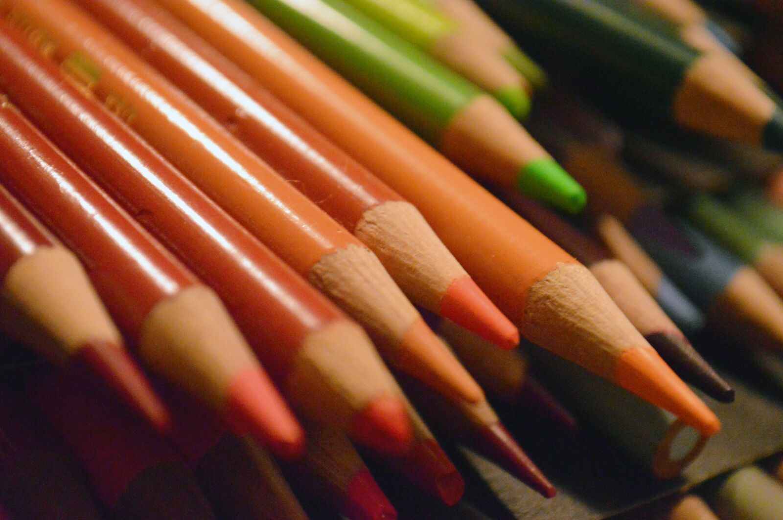 Nikon D3200 sample photo. Colors, orange, pencils photography