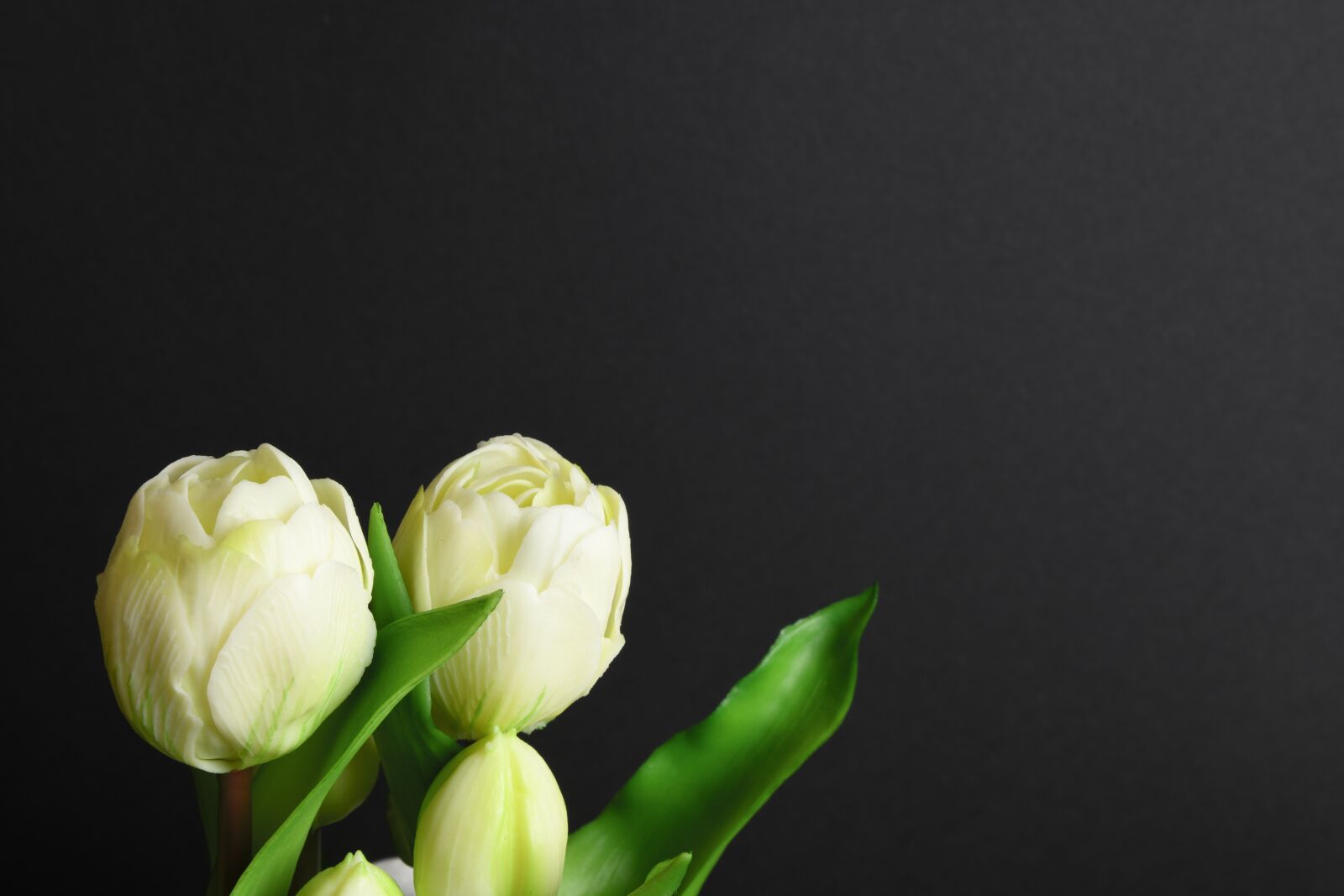 Nikon D850 sample photo. Blossom, bloom, white photography
