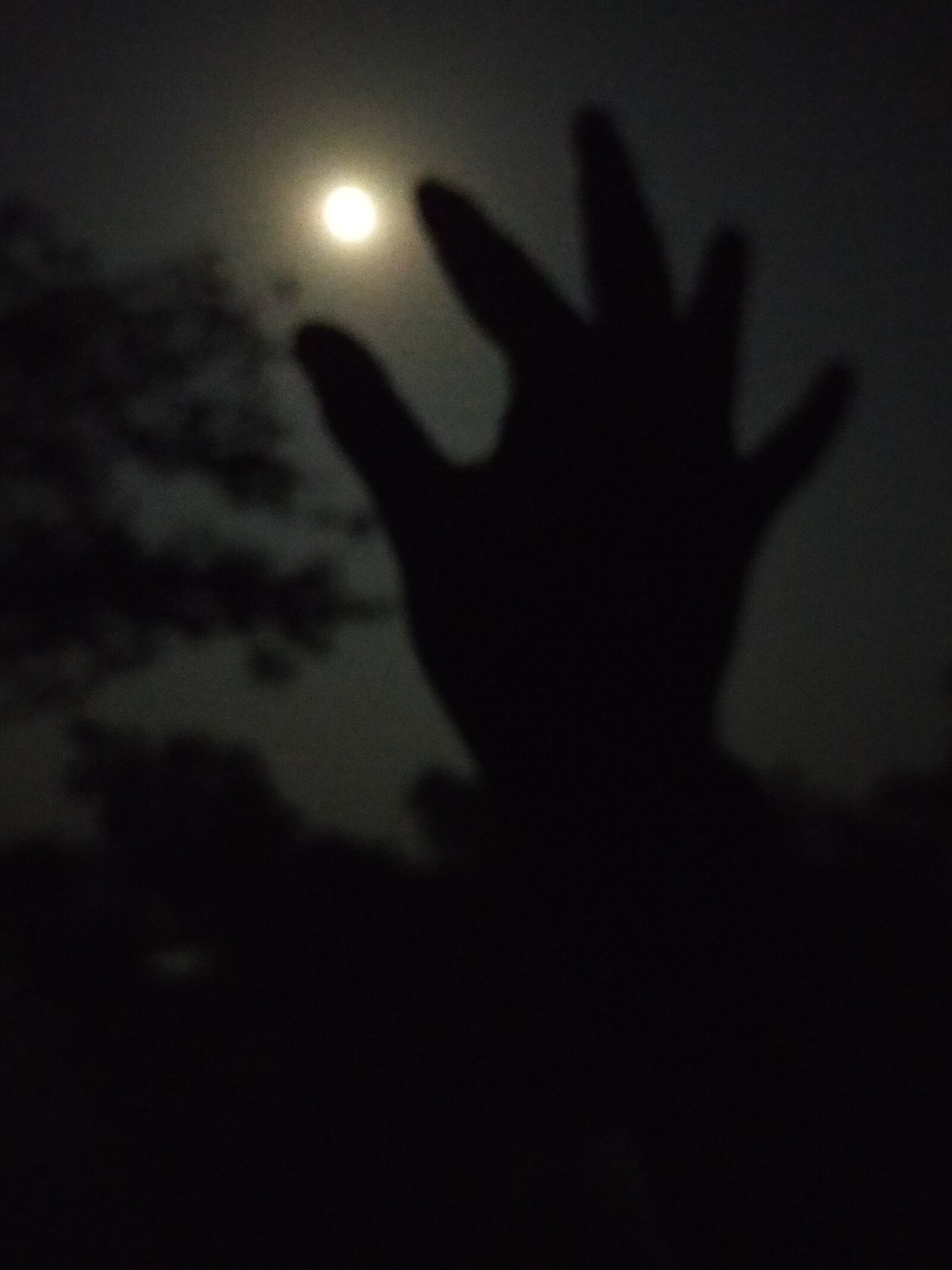 OPPO A9 2020 sample photo. Night, hand, moon photography