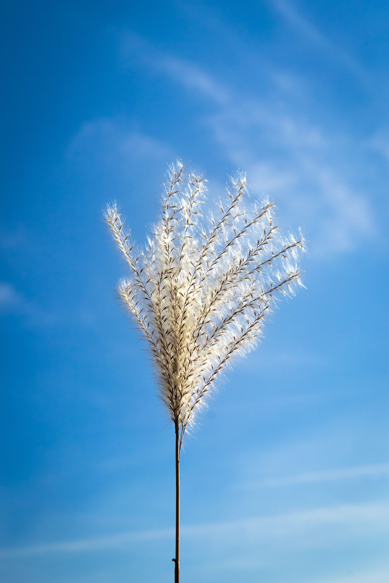 Nikon D3100 sample photo. Silver pool, sky, autumn photography