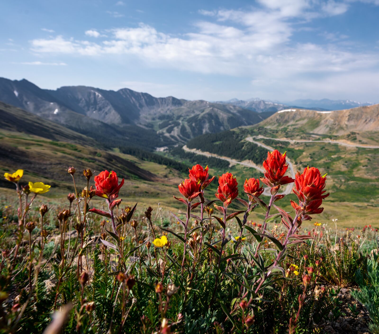 Sony a7R III + Tamron 17-28mm F2.8 Di III RXD sample photo. Mountains, flowers, field photography