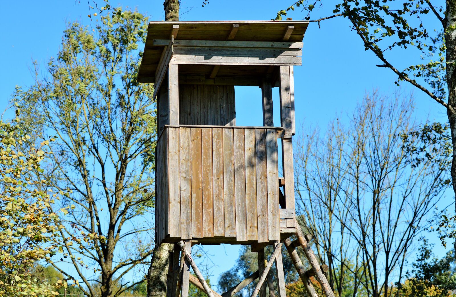 Nikon D3200 sample photo. Hunter seat, delight, perch photography