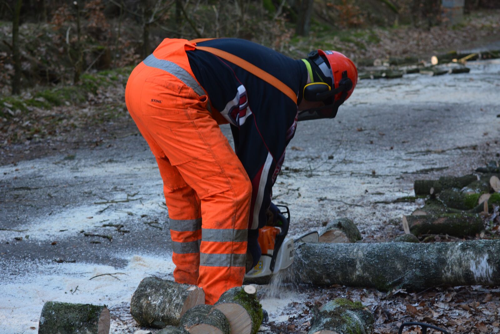 Nikon D7100 sample photo. Work, human, forest photography