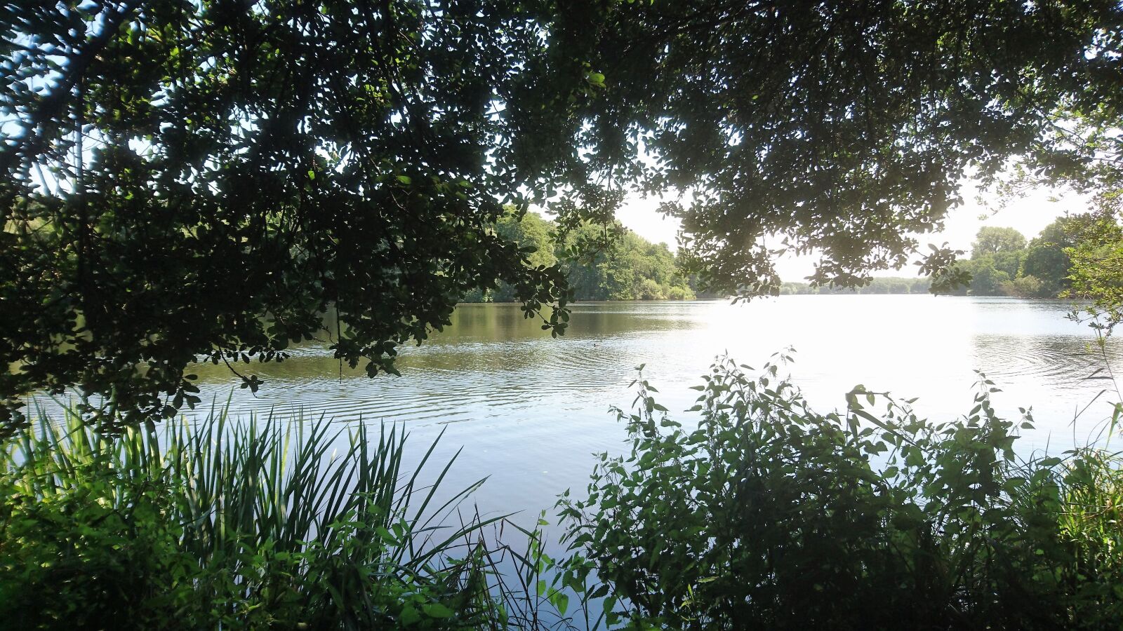 Sony Xperia Z5 sample photo. Lake, summer, nature photography