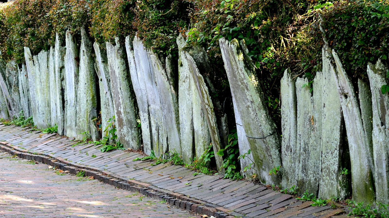 Nikon D5100 sample photo. Fence historic, whalebone, whaling photography