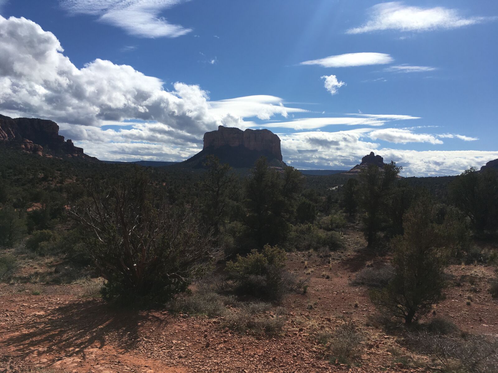 iPhone SE back camera 4.15mm f/2.2 sample photo. Sedona, arizona, desert photography