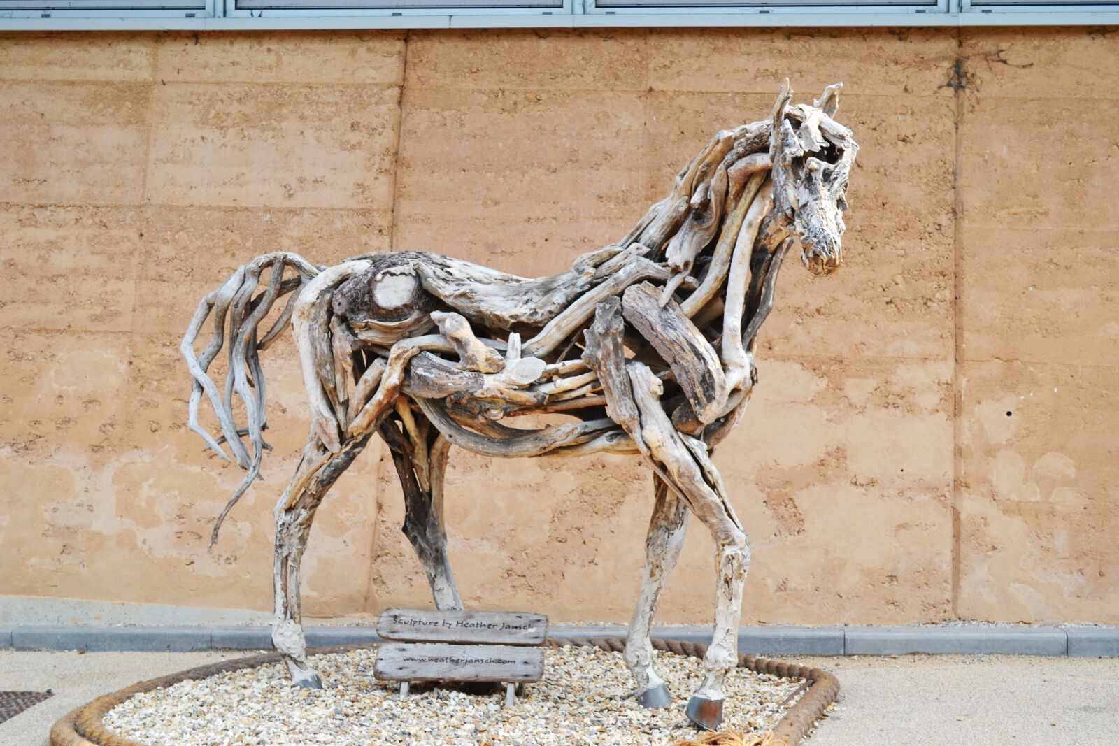 Nikon D3100 sample photo. Heather jansch, driftwood, sculpture photography