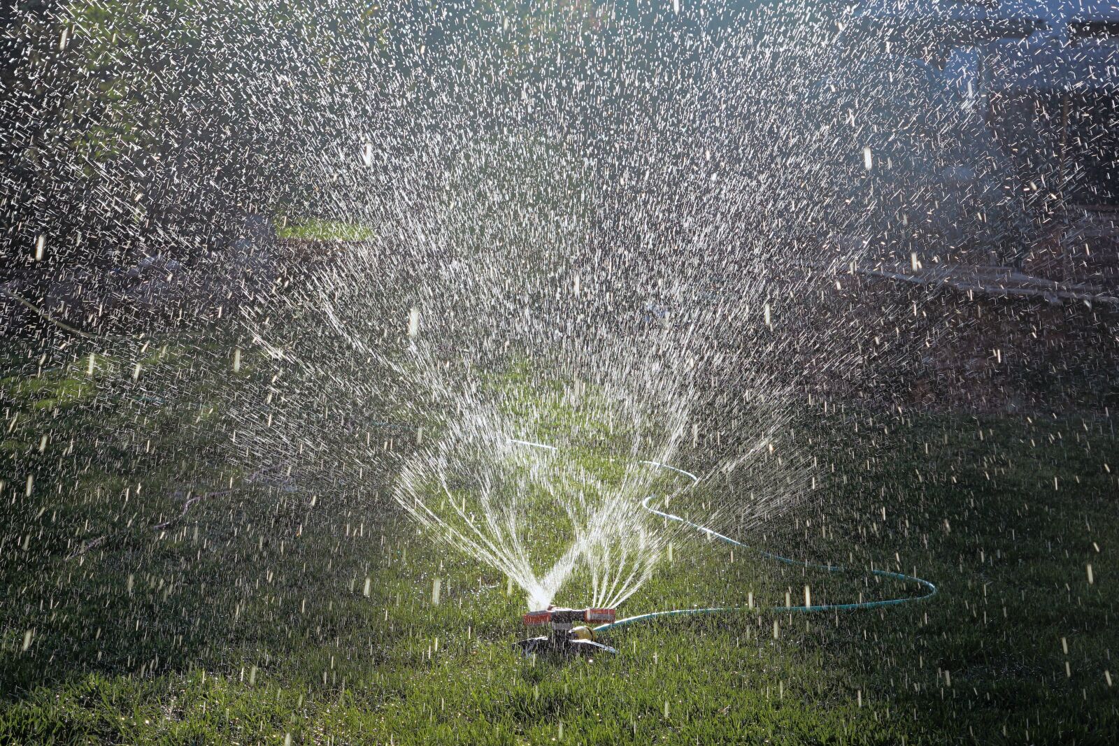 Sony a7 II sample photo. Water sprinkler, casting, water photography