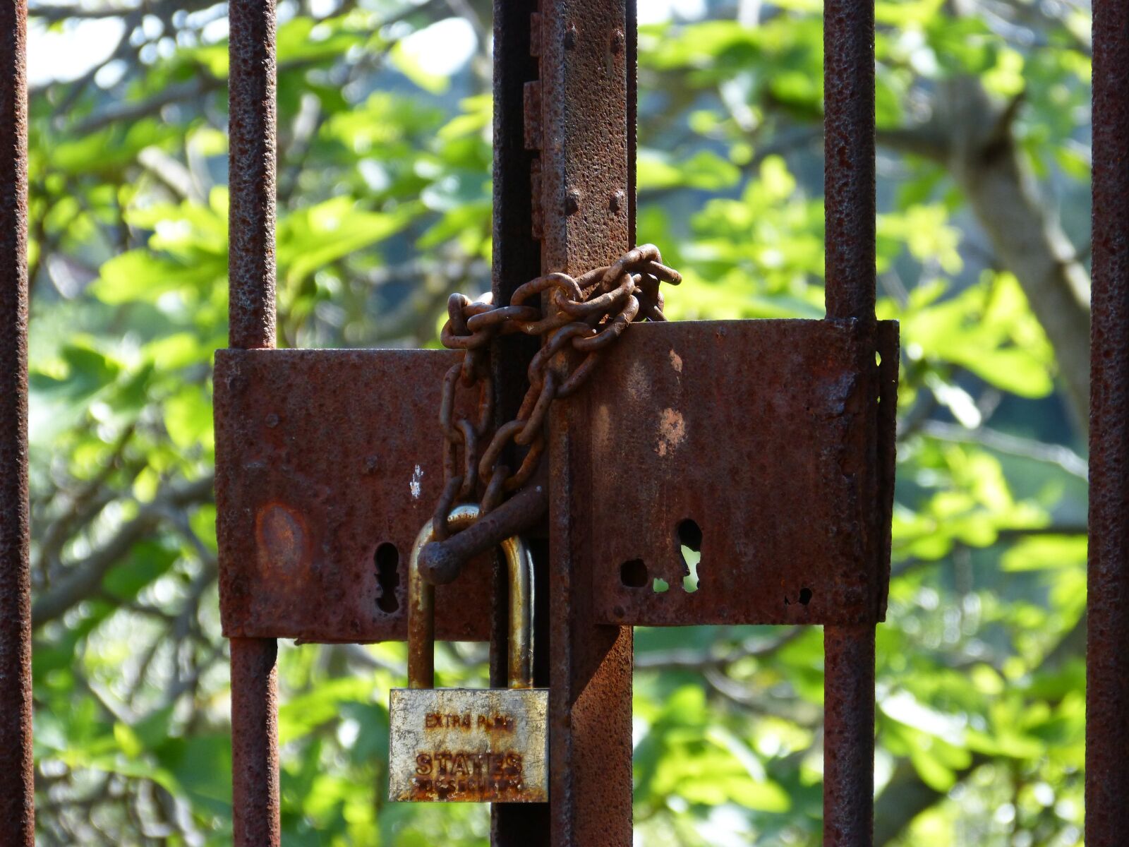 Panasonic DMC-FZ62 sample photo. Closed, symbol, padlock photography