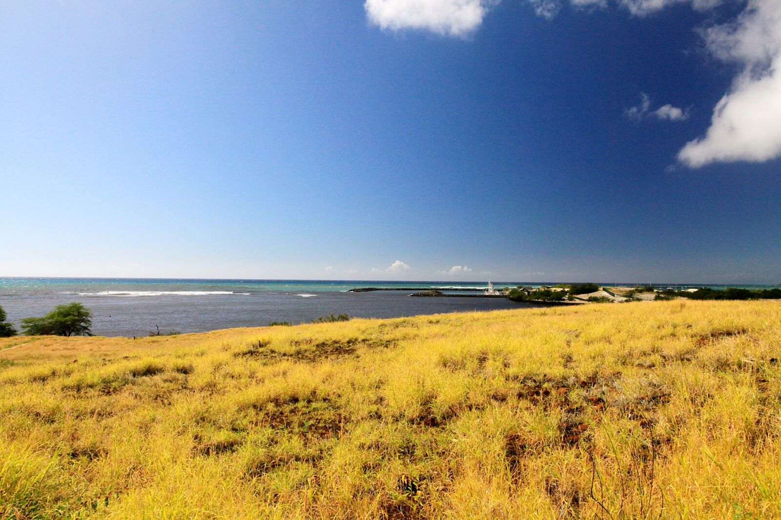 Canon EOS 5D Mark II + Canon EF 24mm F1.4L II USM sample photo. Coast, field, grass, hawaii photography