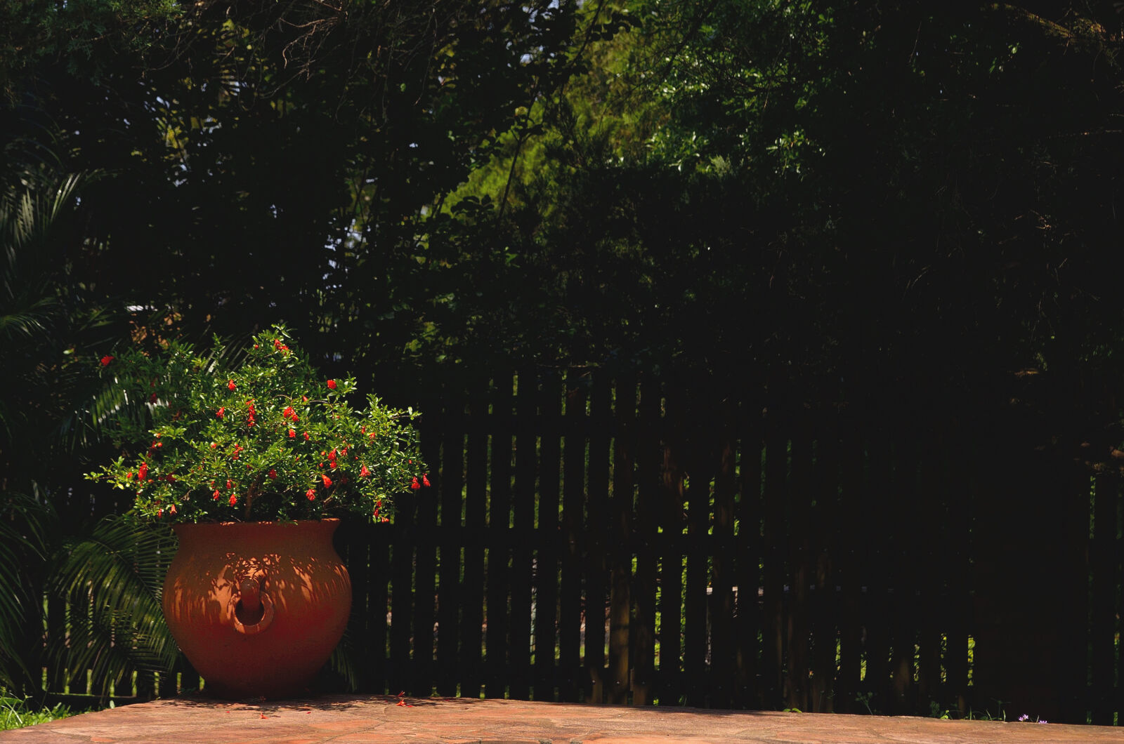 Nikon D5100 sample photo