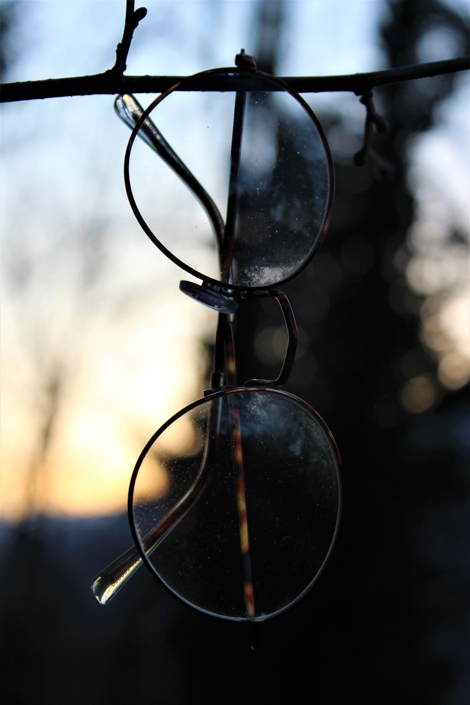 Canon EOS 600D (Rebel EOS T3i / EOS Kiss X5) sample photo. Glasses, retro, vintage photography