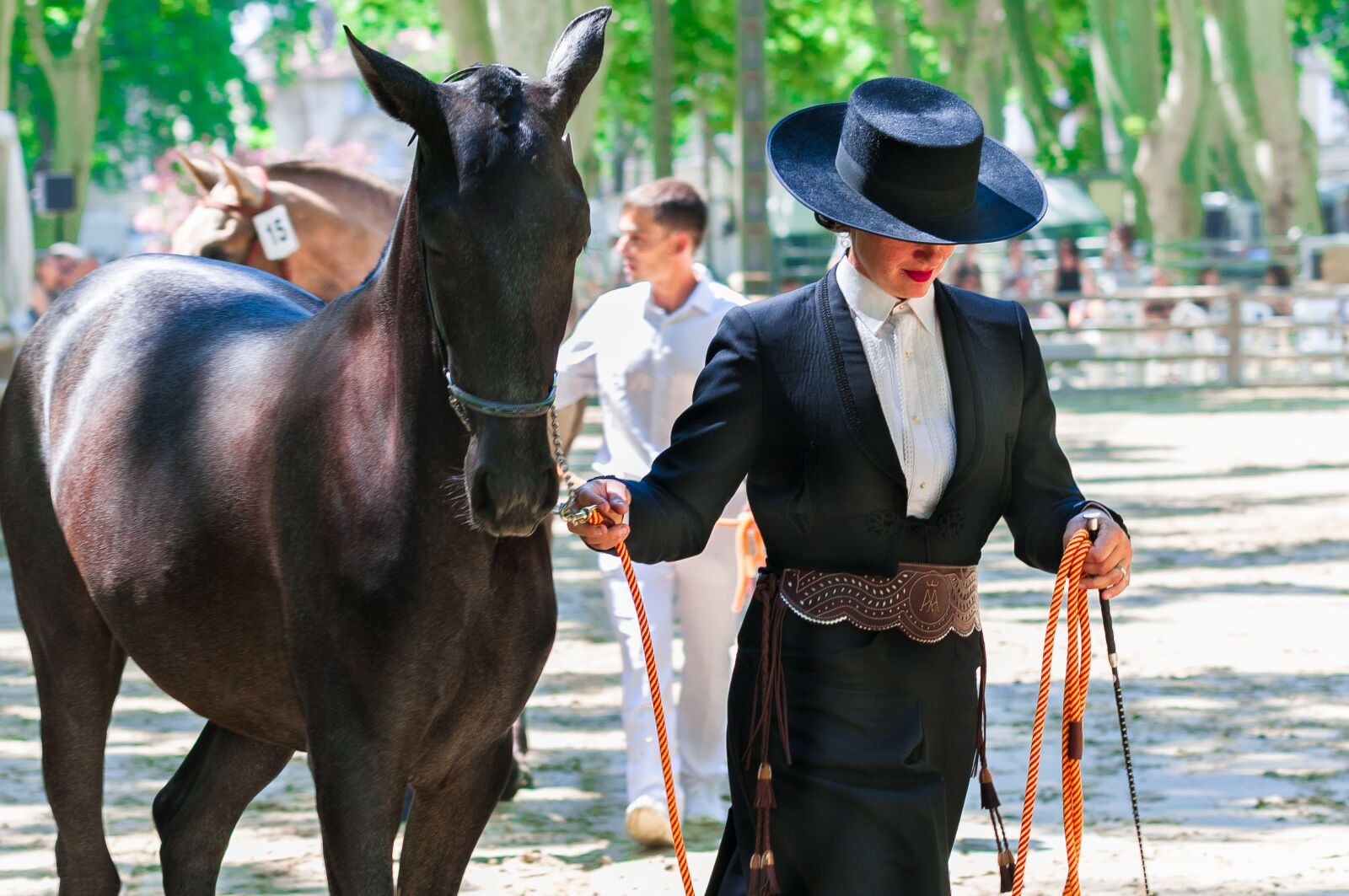 Nikon D300S sample photo. Horseback riding, horse, competition photography