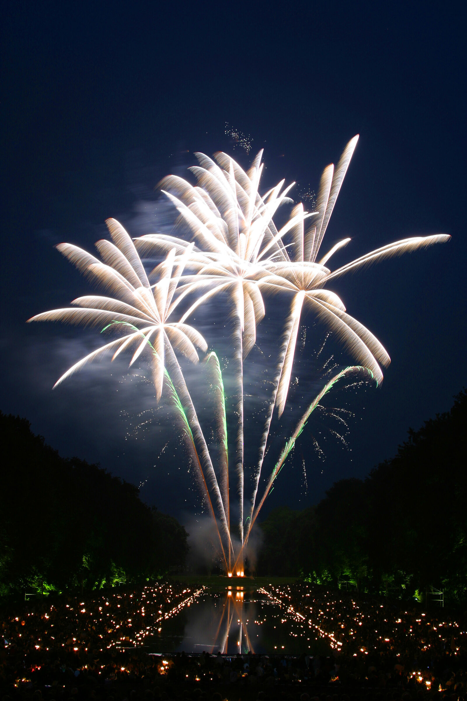 Canon EOS D60 sample photo. Fireworks, display, during, nighttime photography