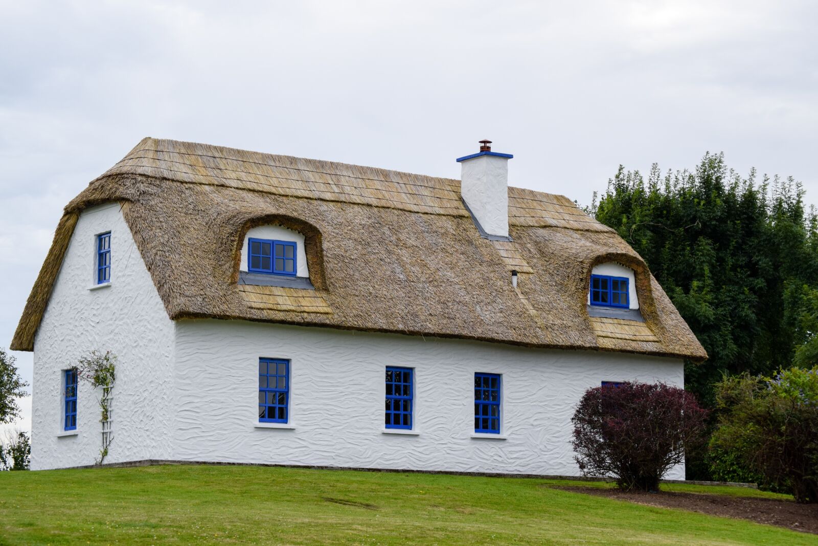 Nikon D3300 sample photo. Cottage, thatched roof, ireland photography