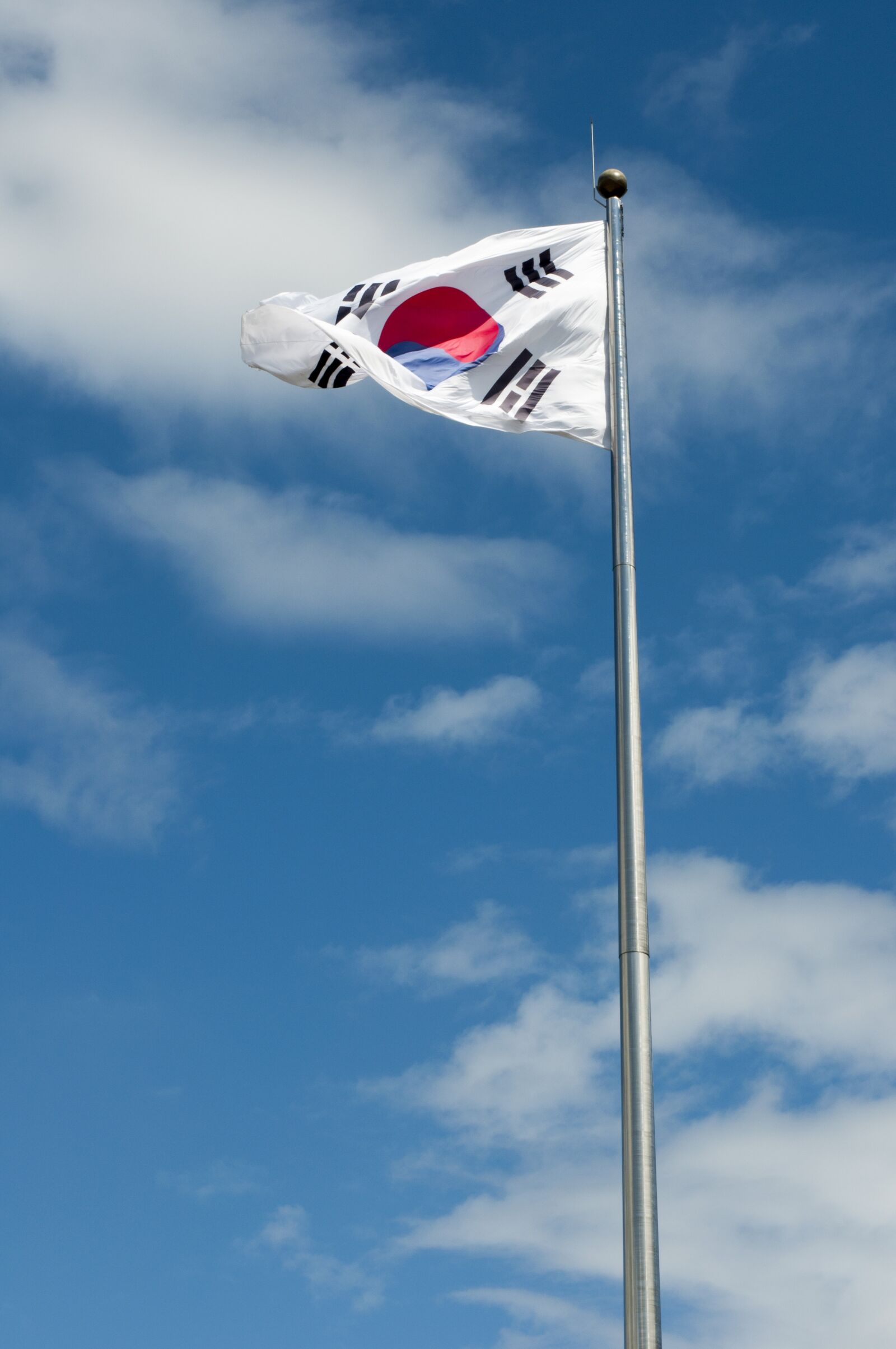 Nikon D90 sample photo. Julia roberts, korean flag photography